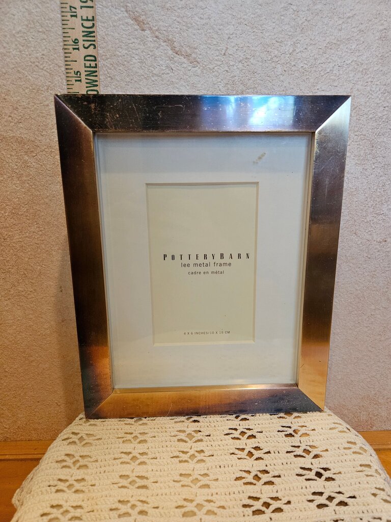 Sleek Clean lines Pottery Barn Lee Metal Frame
