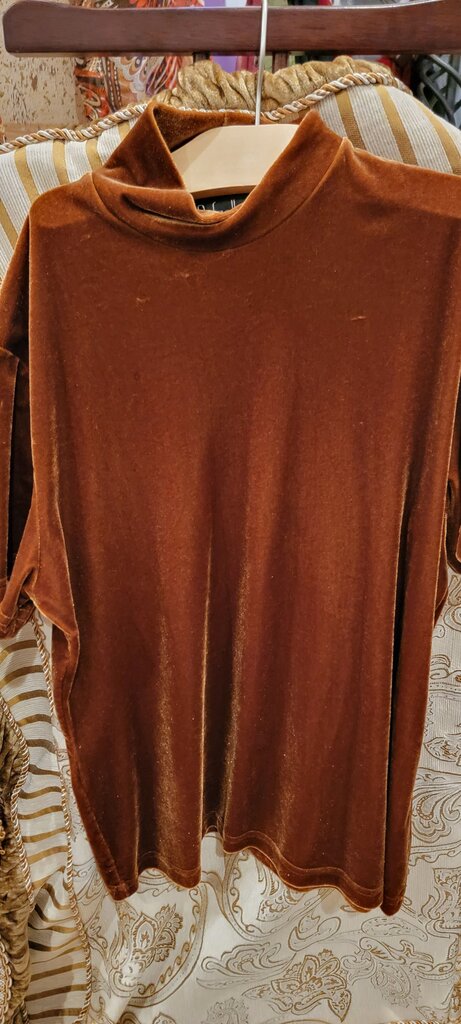 Rafaella Brown Velvet Top
