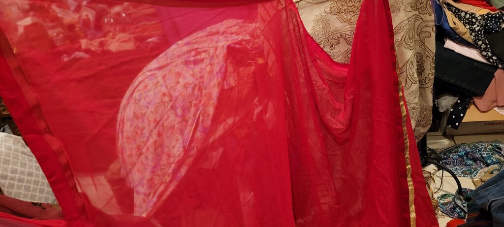 Elegant Red Fabric with Gold Trim