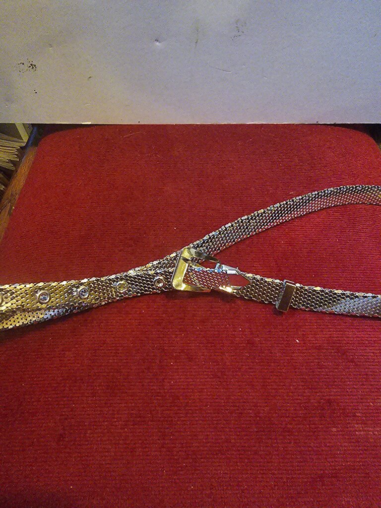 Vintage Silver Mesh Belt with Gold Buckle