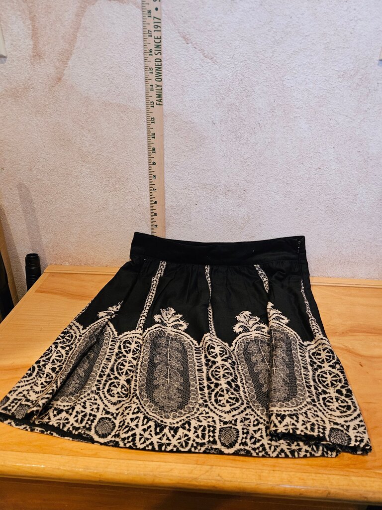Black Embroidered Skirt
