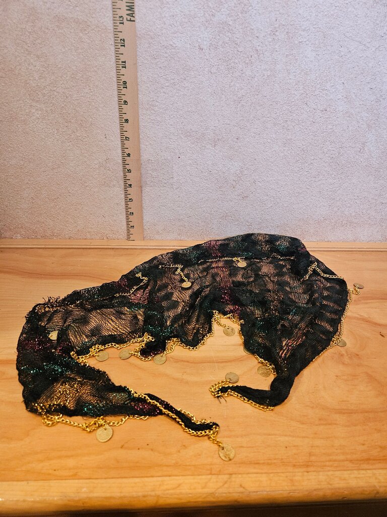 Black Sheer Coin Scarf