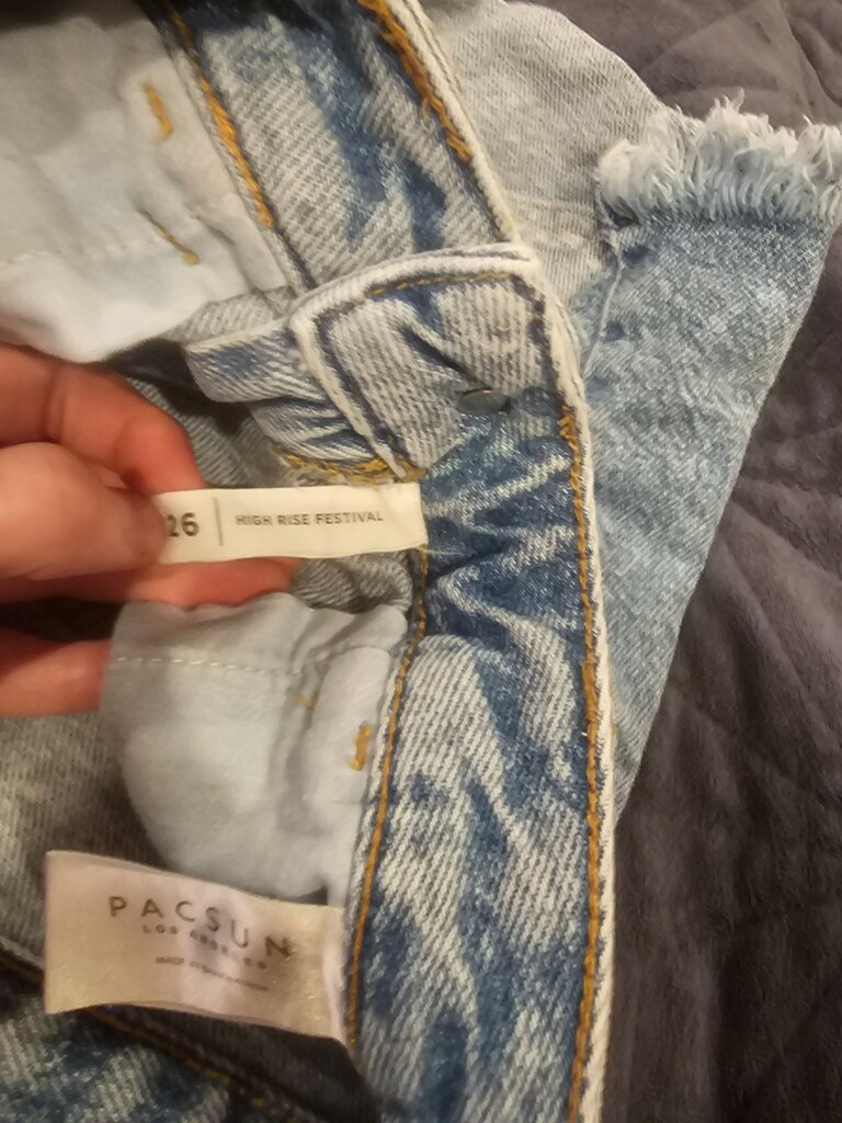 Pacsun High Rise Festival Shorts