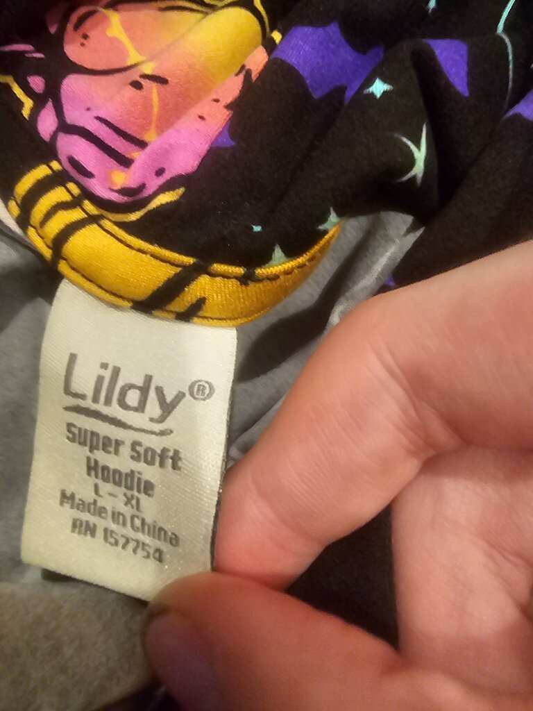 Lildy Super Soft Halloween Hoodie