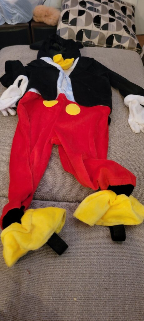 Disney Mickey Mouse Costume
