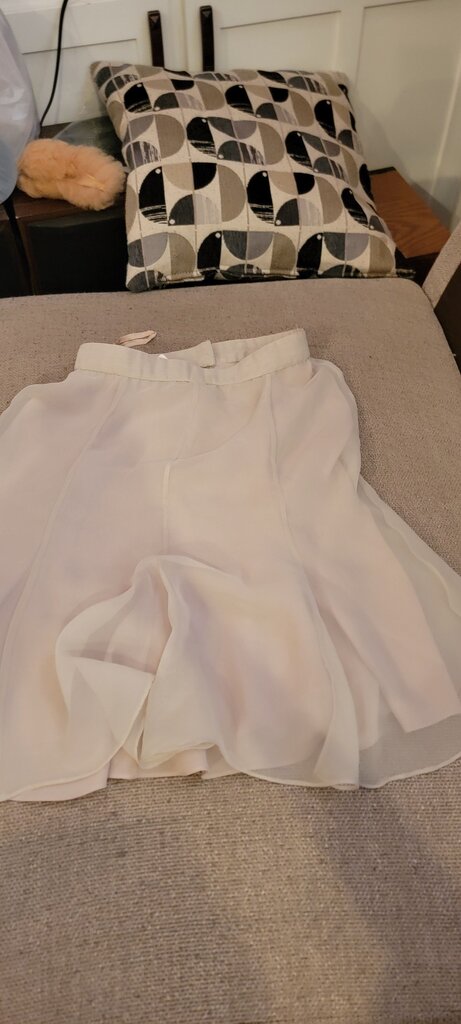 Sheer Blush Skirt