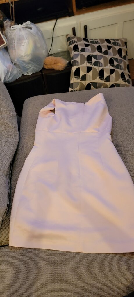 BCBG Pink Dress Size 4