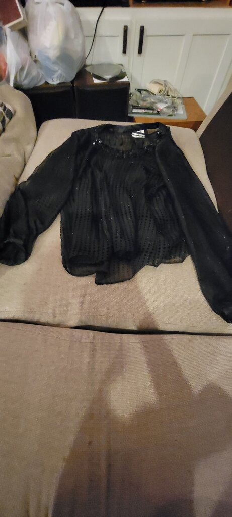 Sheer Black Long Sleeve Top