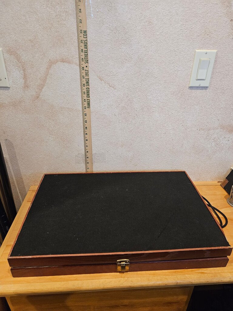 Jewelry Shelf wall mount Display Hinged Box w carry handles for earrings, necklaces organizer