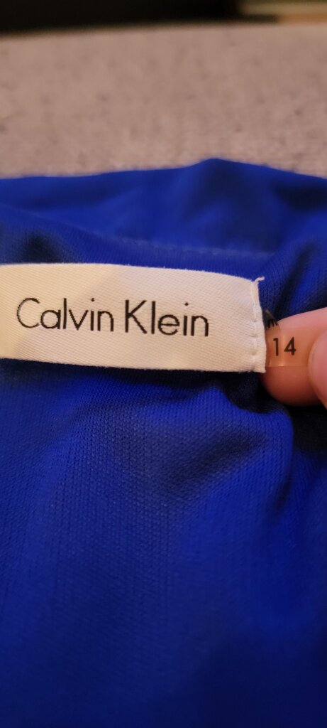 Calvin Klein Blue and Mint Layered Dress