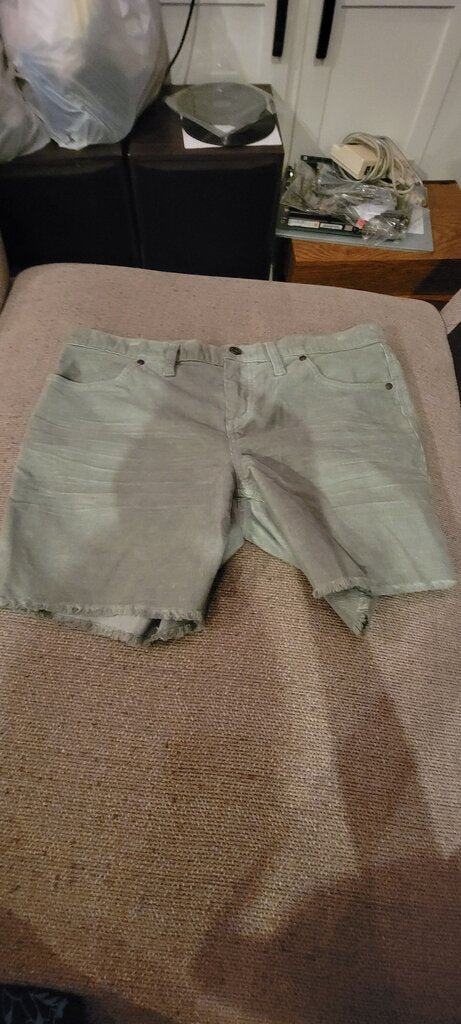 Carve Designs Women's Shorts