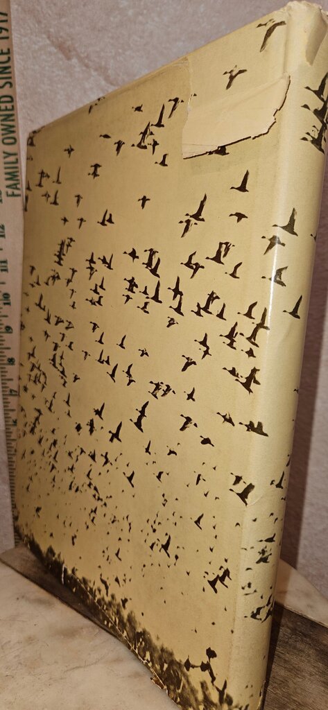 Hunting Ducks and Geese by Edward C. Janes