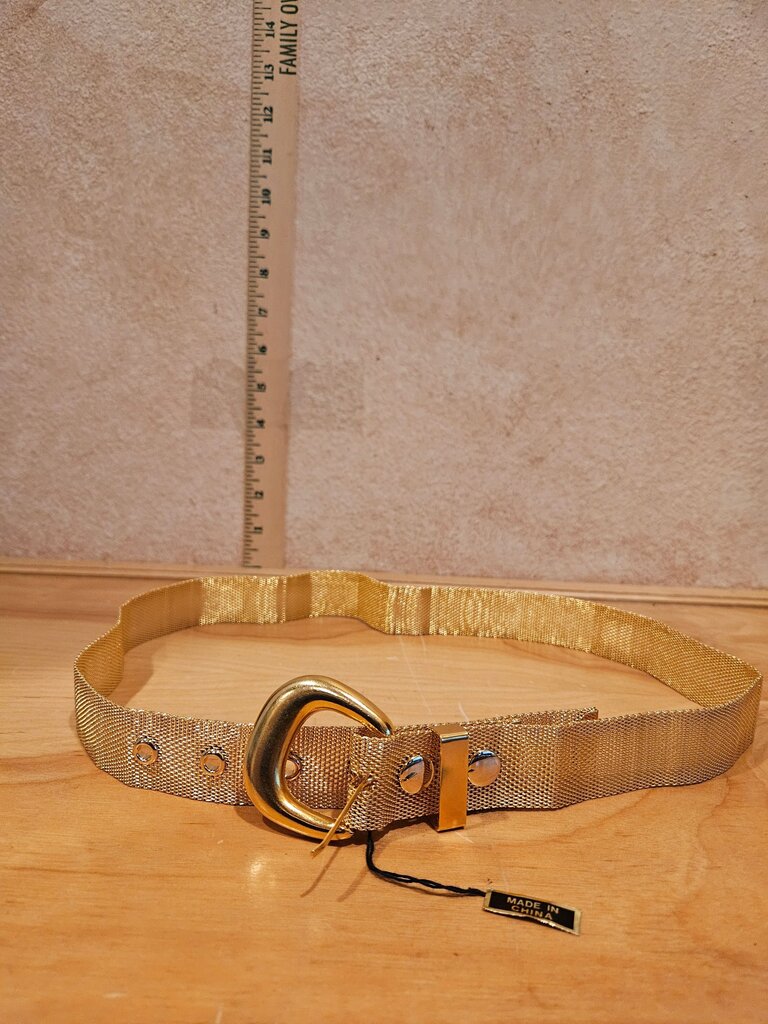 Gold Mesh Fashion Belt