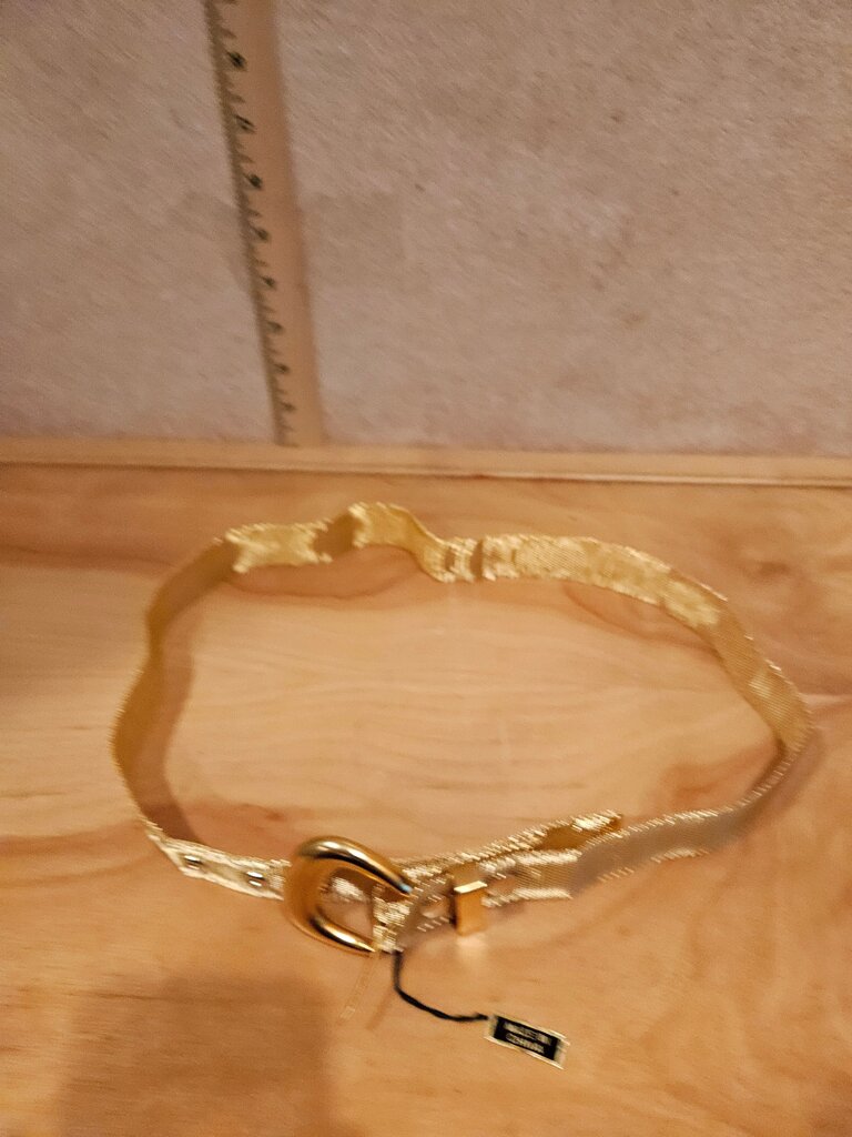 Gold Mesh Fashion Belt