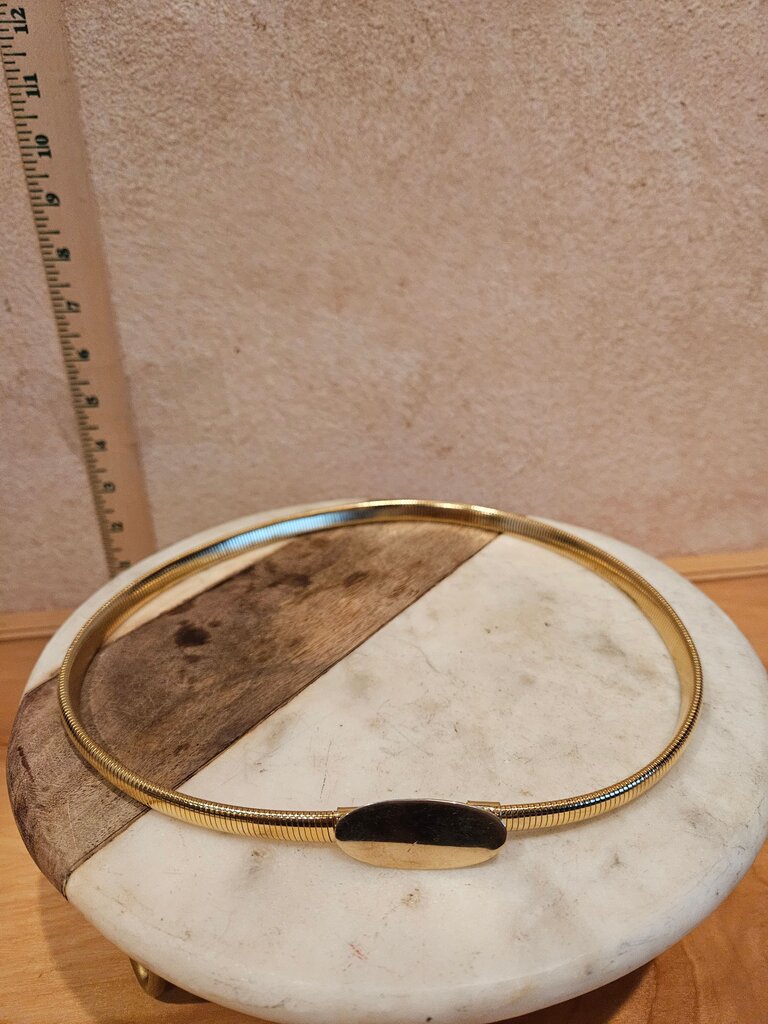 Gold Tone Oval Choker Necklace