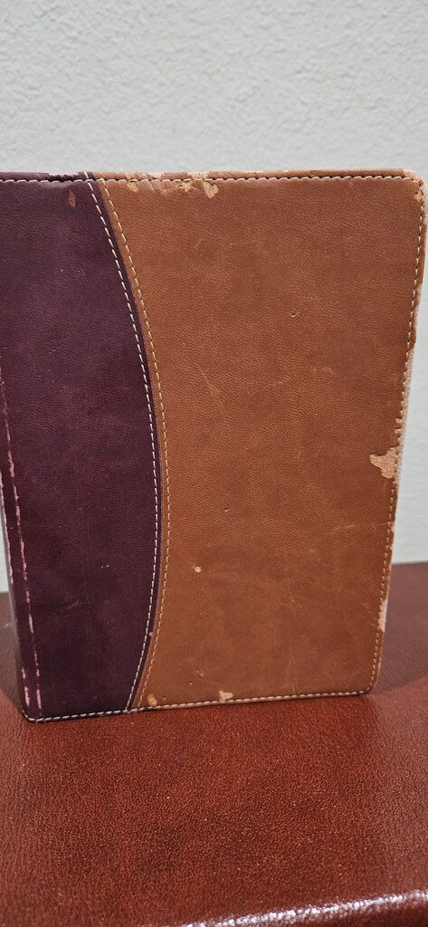Zondervan NIV Study Bible