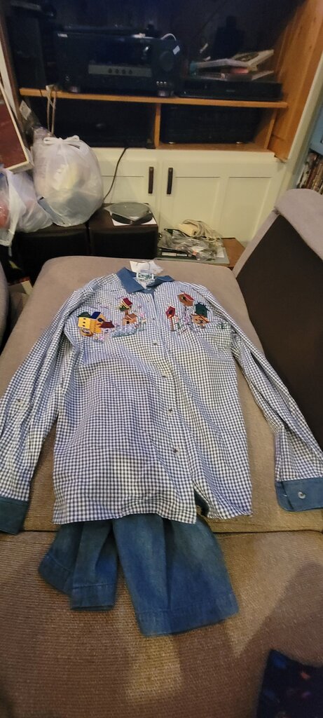 Quaker Factory Gingham Check Shirt with Embroidery