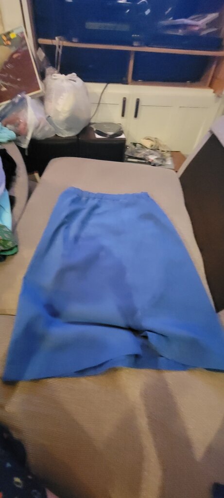 Vera Maxwell Blue Skirt