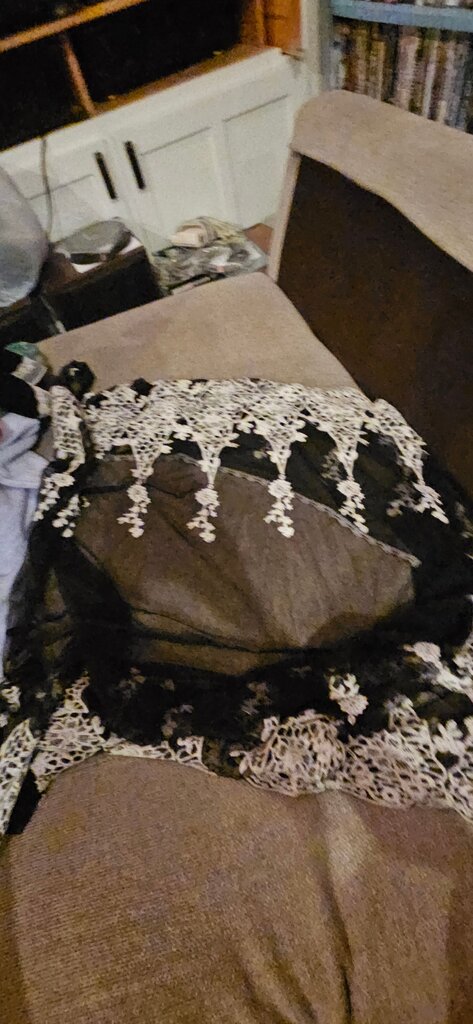 Black Lace Overlay Dress