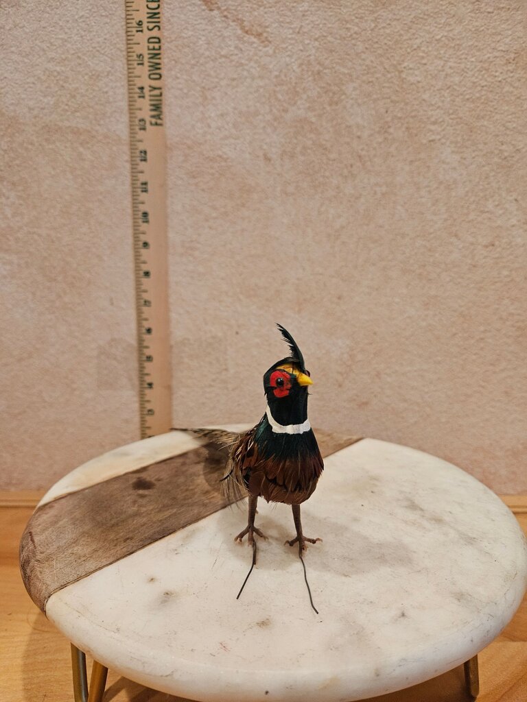Decorative Vintage Styled pheasant made w real feathers tree ornament, vignette Table display Bird Figure Ralph Lauren Decor