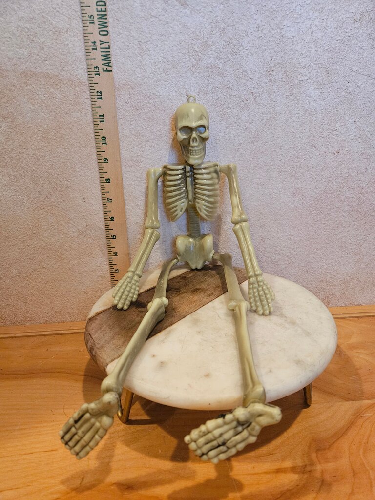 Skeleton Figure Plastic Halloween Decoration Prop Skull & Bones