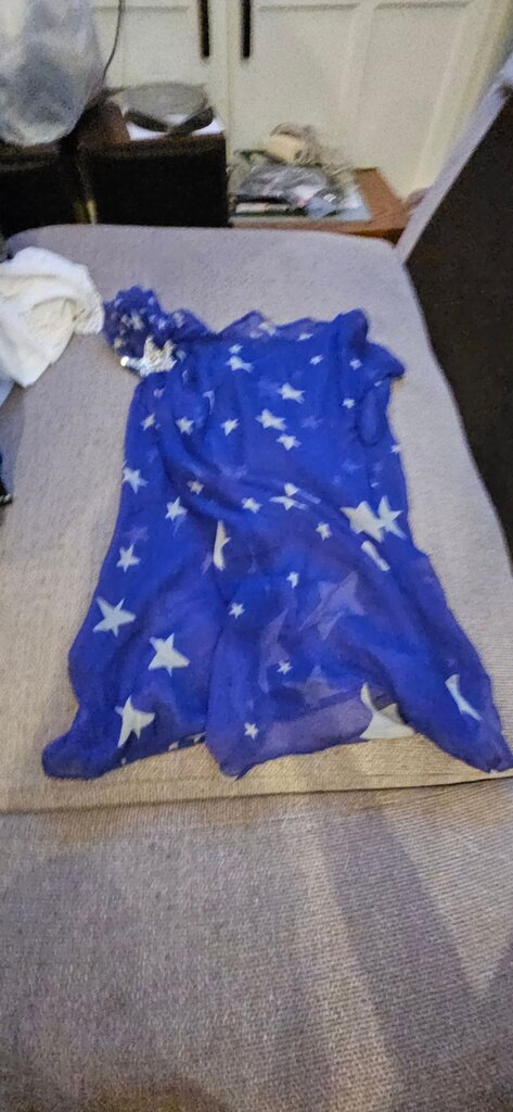 Blue Star Print Scarf
