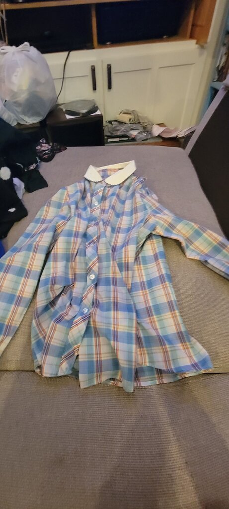 Blue Plaid Button-Up Shirt