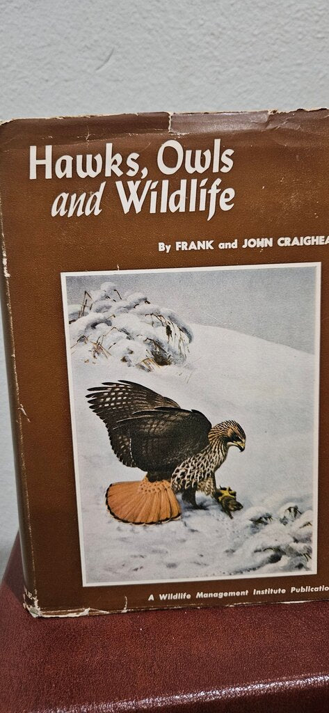 Hawks, Owls and Wildlife