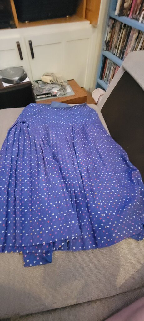 Blue Pleated Skirt with Heart Print