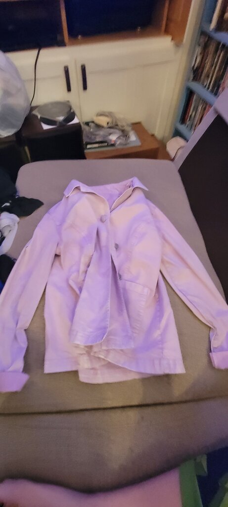 Lori Goldstein Women's Lavender Button-Up Shirt