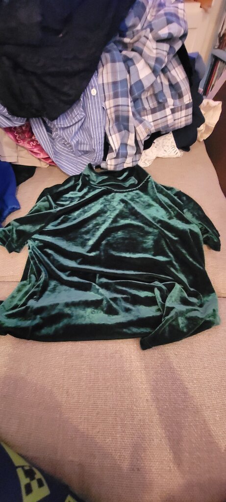 Impressions of California Green Velvet Top