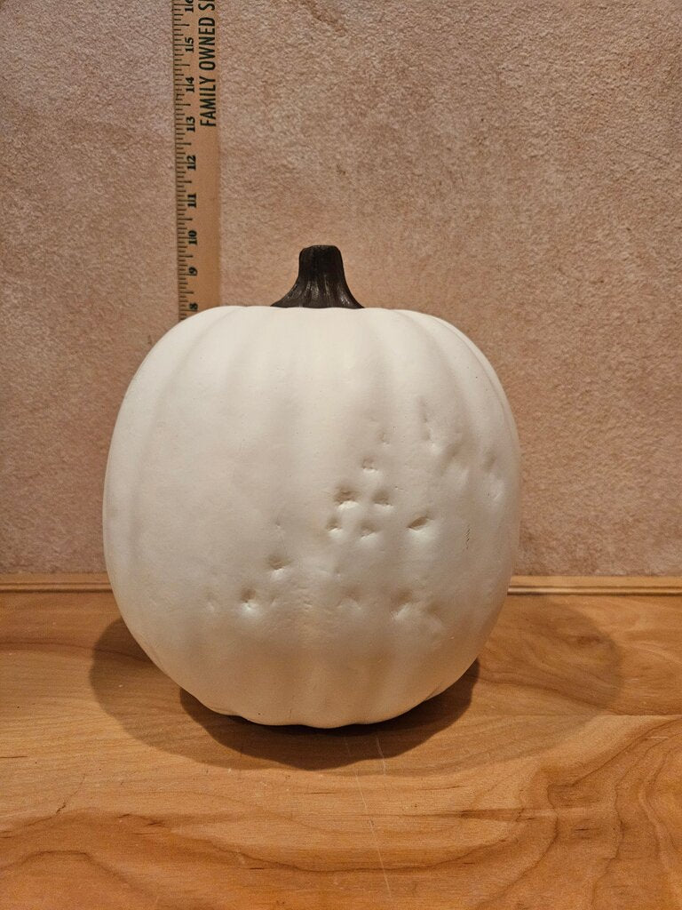 Celebrate It Ready-to-Paint Halloween Fall Decoupage, painting or carving Craft White Decorative Pumpkin