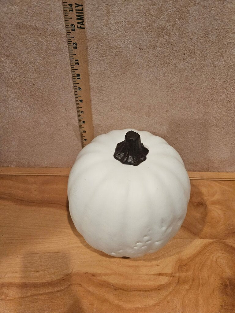 Celebrate It Ready-to-Paint Halloween Fall Decoupage, painting or carving Craft White Decorative Pumpkin
