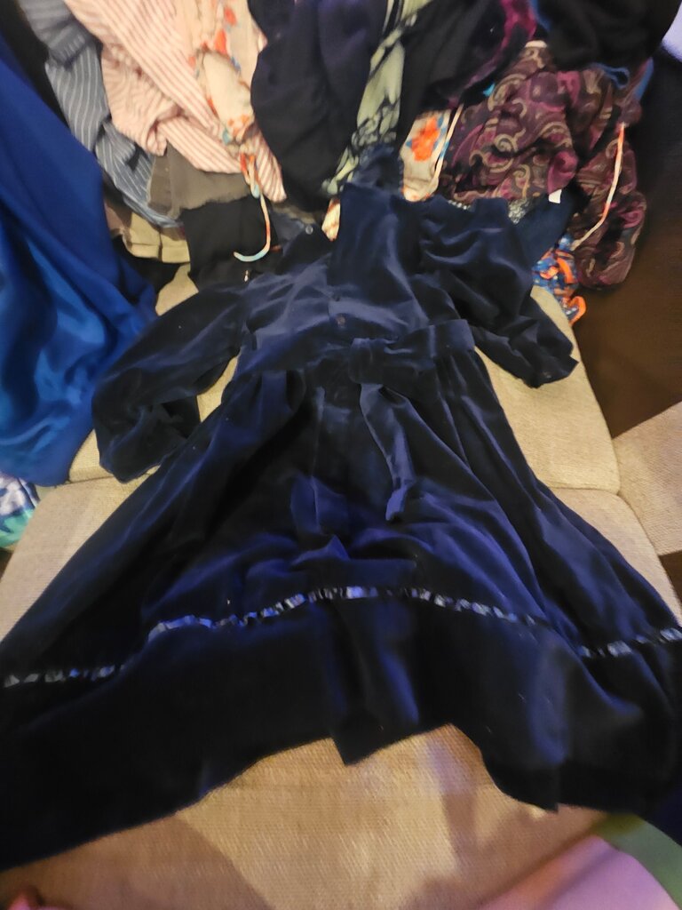 Carriage Boutiques Velvet Dress