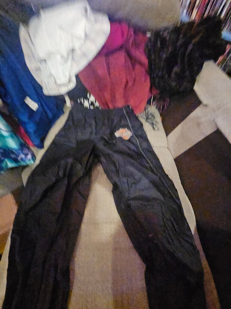 Harley-Davidson Men's Black Pants
