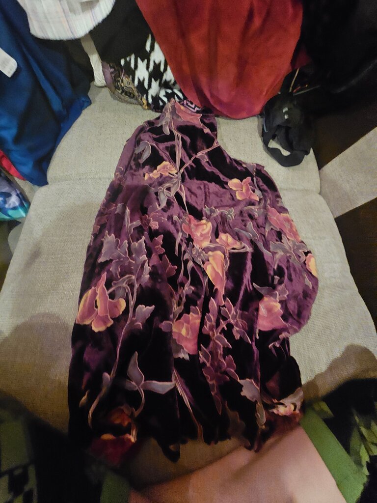 Entro Floral Velvet Dress