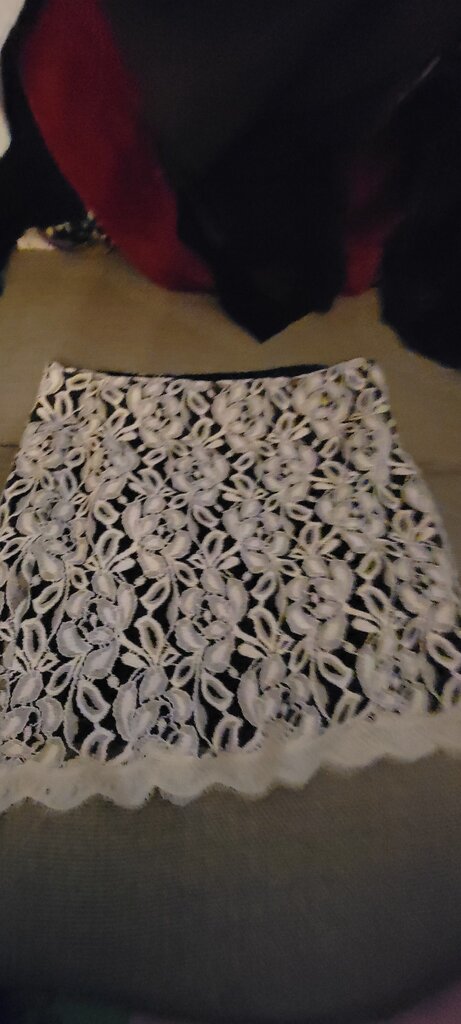 Forever 21 Lace Skirt