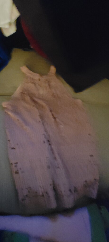 Monteau Women's Dress