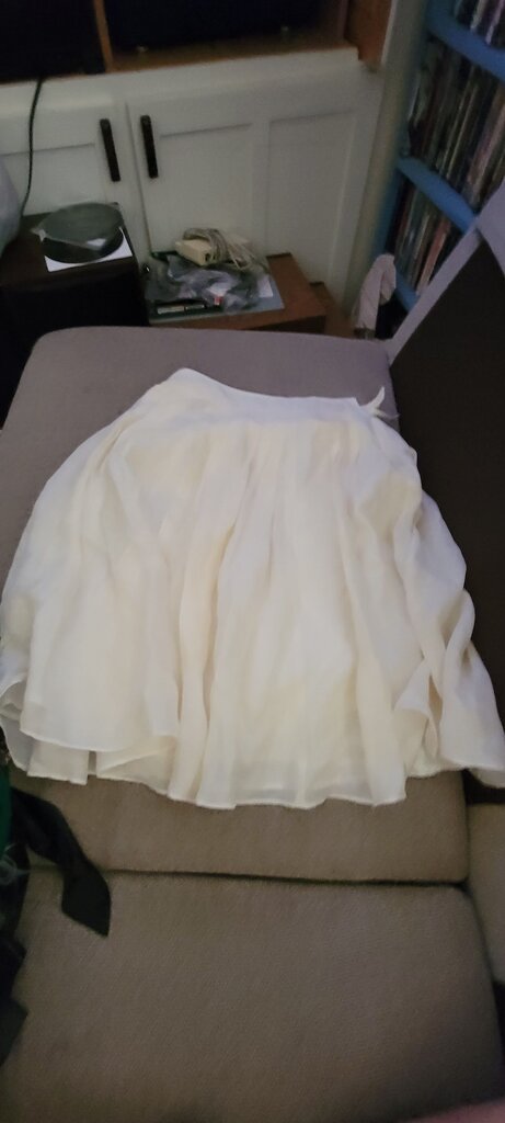 Banana Republic White Chiffon Skirt