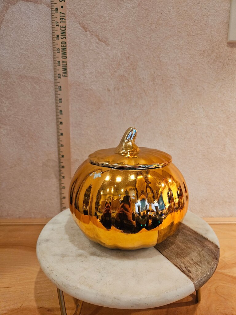 Pumpkin Soup Tureen Decorative Container Fall Display Vase Trinket dish AS IS was used for flowers