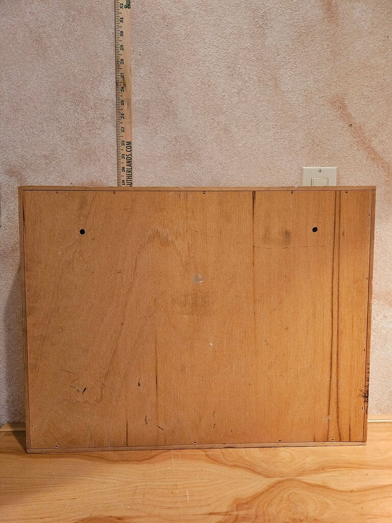 Vintage Napa 100 cassette tape wall mountable holder rack or independent standing media organizer display