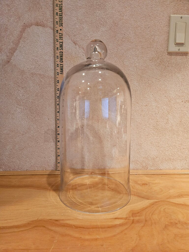 Vintage Glass Display Bell Jar Dome Garden Cloche Knob Handle Taxidermy Science Holiday Christmas Display Dome As Is w small flea bite chips