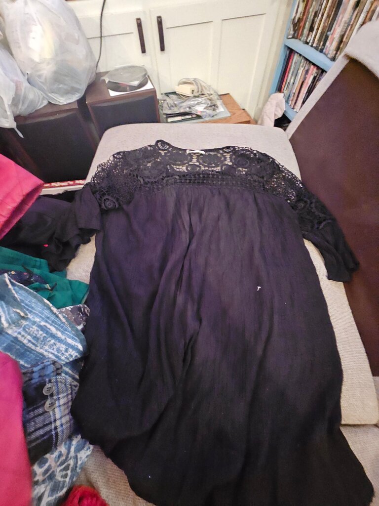 Indigo Rose Black Lace Detail Dress