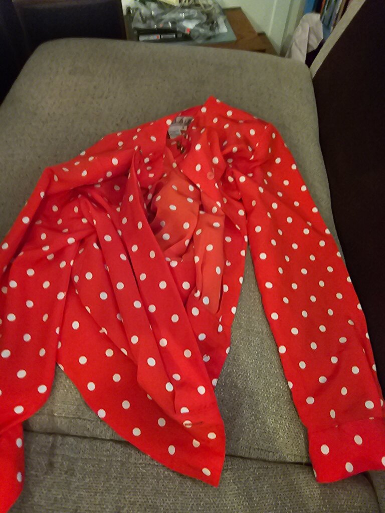 Red Polka Dot Blouse