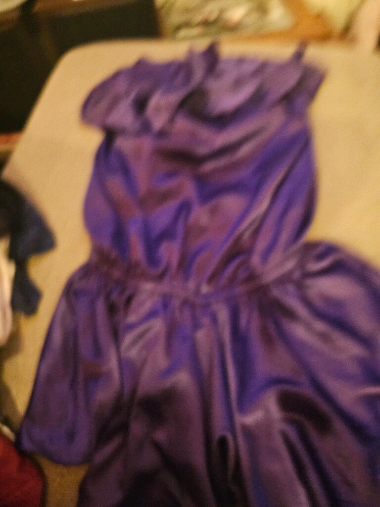 Rachel Lynn Small Purple Dress
