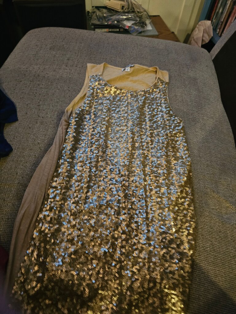Express Gold Sequin Top XS