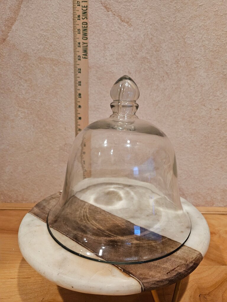 Vintage Glass Display Wide Bell Jar Dome Garden Cloche Knob Handle Taxidermy Science Holiday Christmas Display Dome Antique Farmhouse