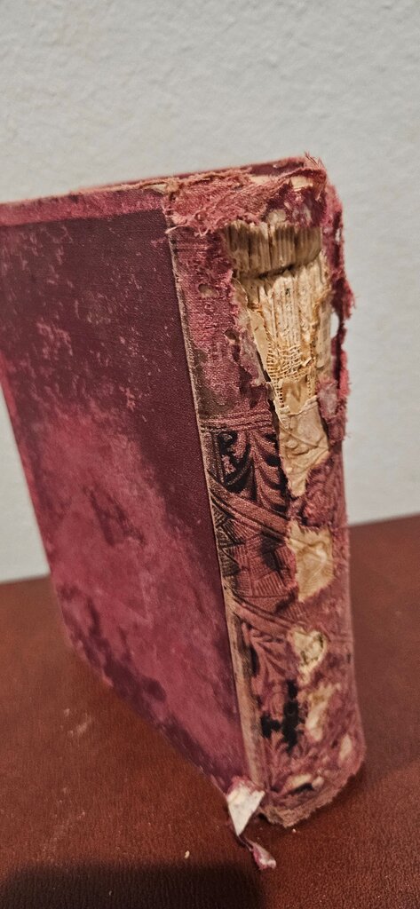 Vintage Book by F. M. Lupton (1886)