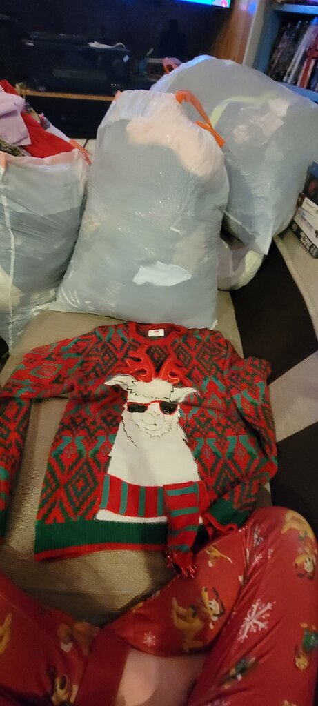 Holiday Themed Sweater with Llama Design