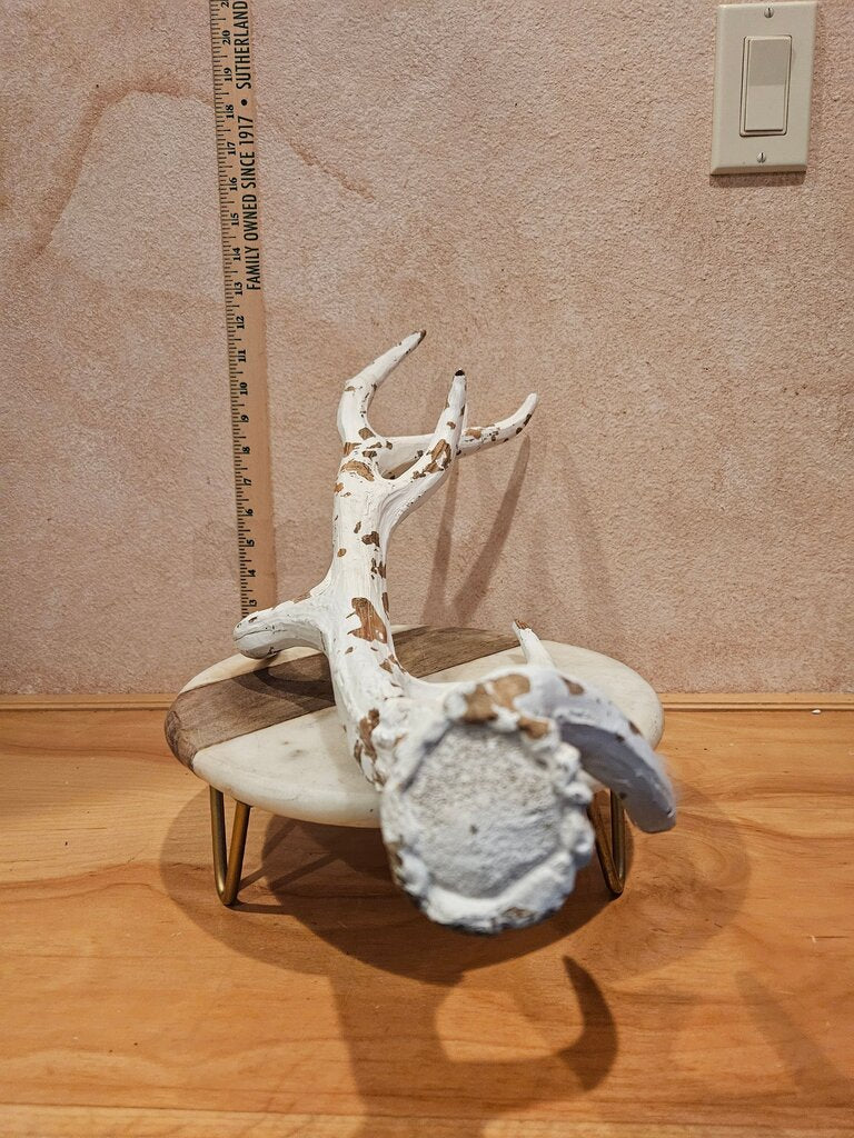 Decorative Chippy Paint White Antler Deer Branch style ornament display, beach theme decor, farmhouse decor